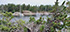 Stora Korsholmen